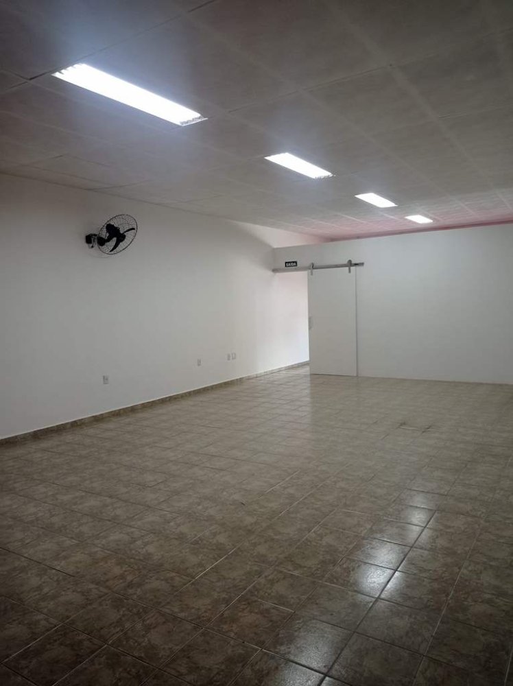 Salo - Aluguel - Centro - Araatuba - SP