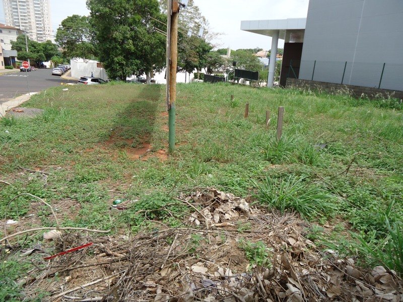 Terreno - Venda - Saudade - Araatuba - SP