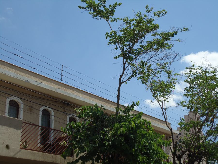 Casa - Aluguel - Centro - Ara�atuba - SP